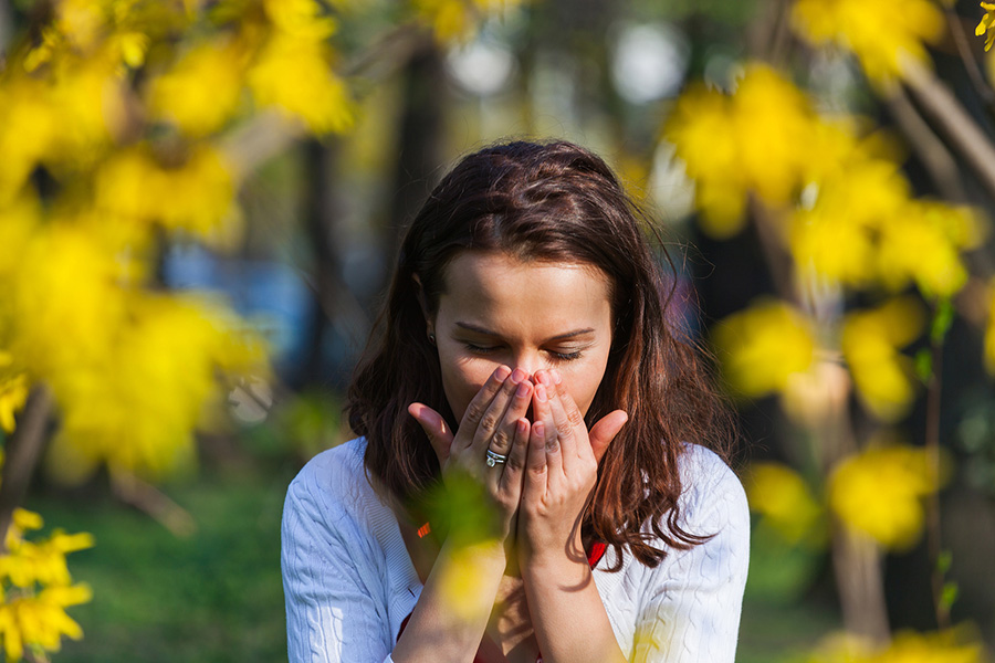 Why do my contacts get dry during allergy season?